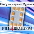 Капсулы Черного Муравья cialis3